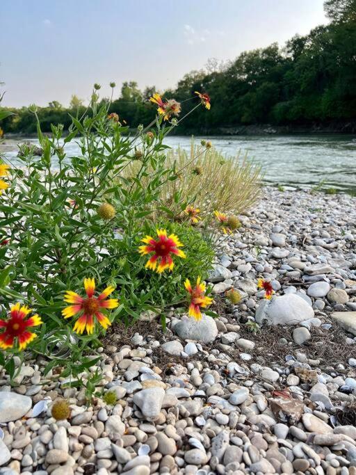 The River Haven - Sleeps 32 - On Guadalupe River Seguin Eksteriør bilde